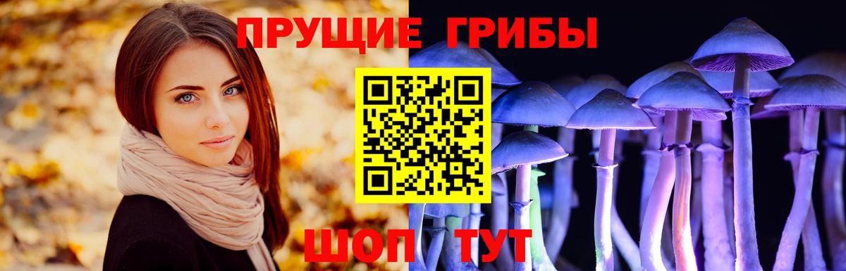 Партизанск  Галлюциногенные грибы Psilocybine cubensis  Вход с VPN 